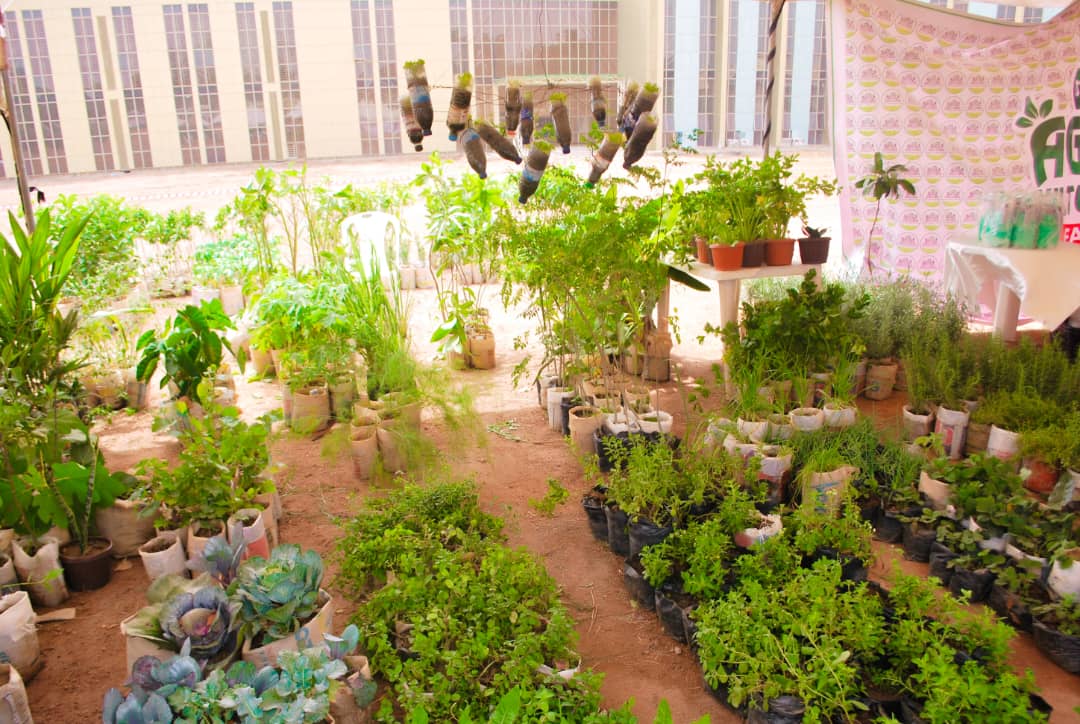 We help you plan, build, and plant your own home garden.